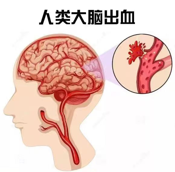 圖片1.png